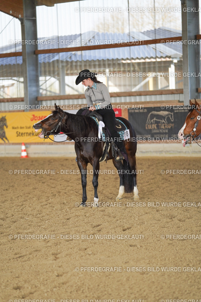 DSC00013 | Pferdegrafie