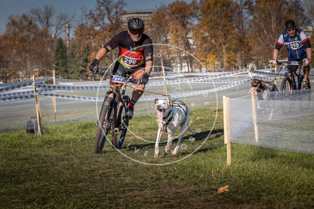 CaniXpix_0L8A5460 | Hundefotografie, Tierfotograf, Pfotenfotografie, Fotoshooting Hund, Hunde Portrait, Hundesport, Hundeportraits, Heideshooting, Hunde, Sportfotograf, Hundefotograf, Turnierhundsport, THS,  - Realisiert mit Pictrs.com