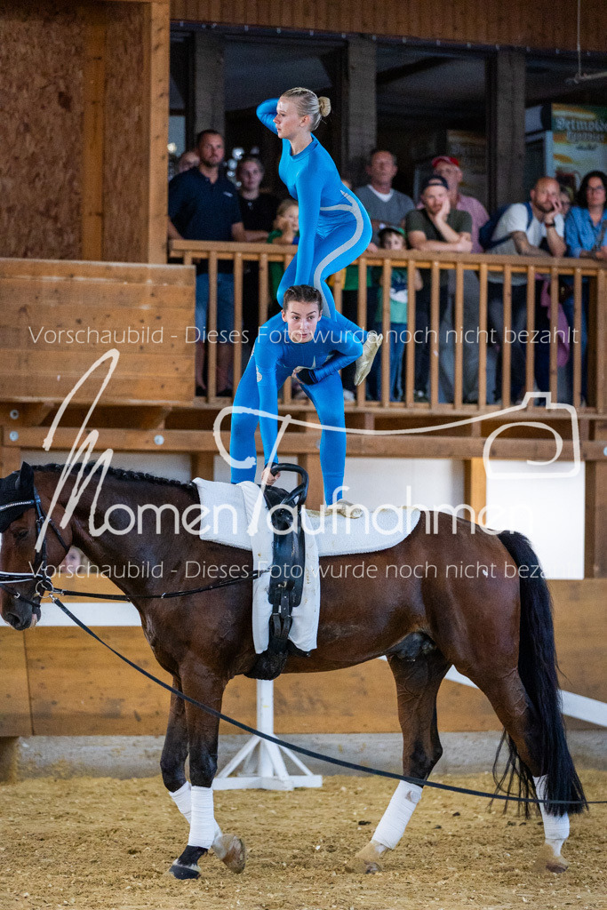 GS-NS-090 | MomenTaufnahmen Pferdesportfotos