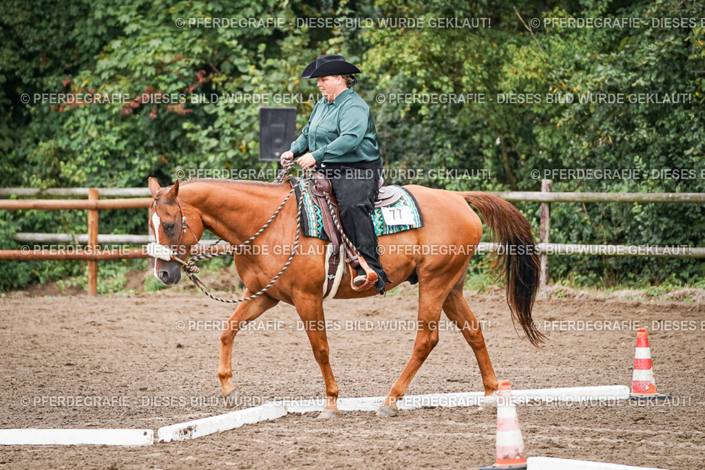 DSC02840 | Pferdegrafie