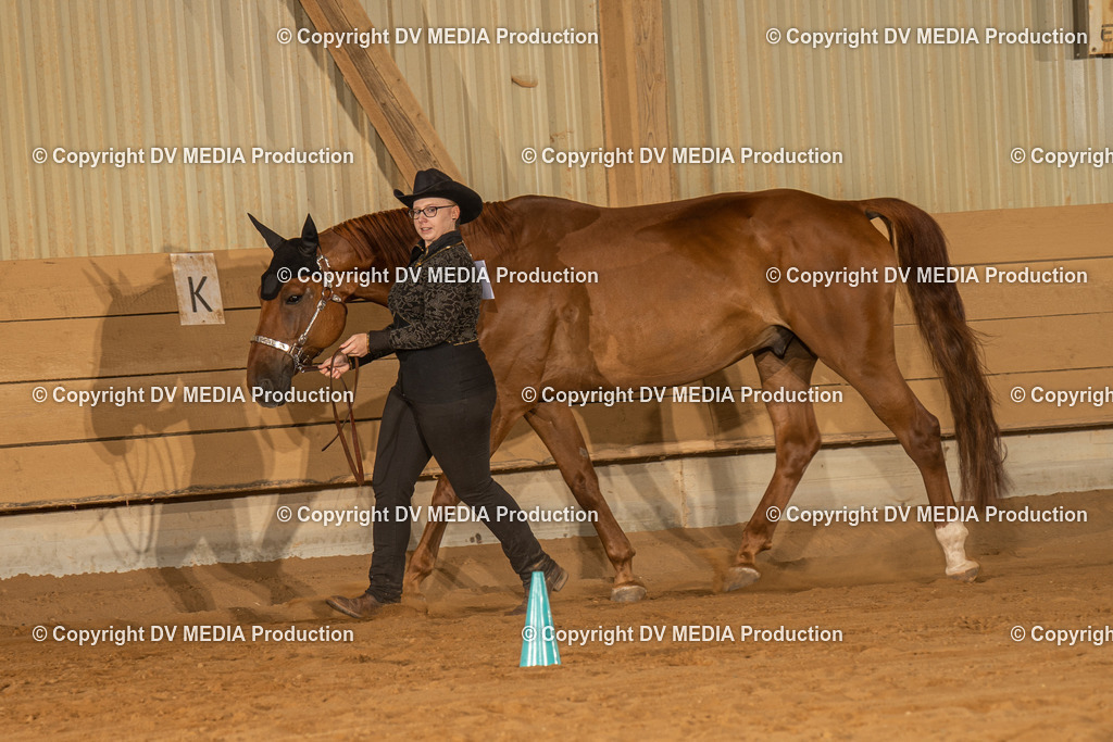 NID02346 | dv-media-shop - Realisiert mit Pictrs.com