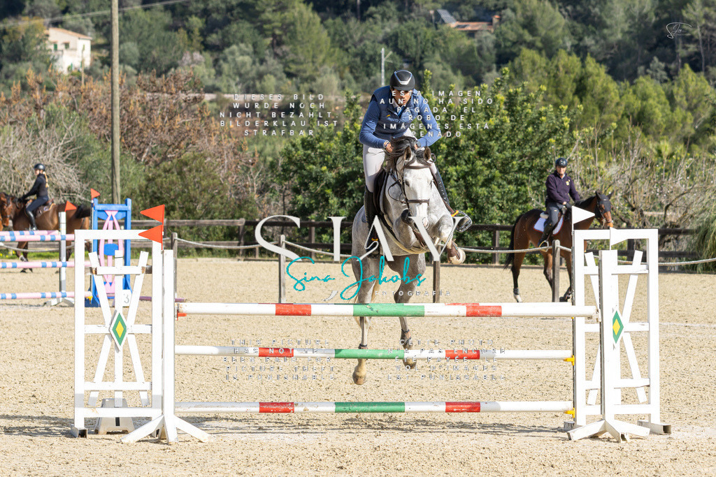 IMG_4529 | s-jay-photography - Realisiert mit Pictrs.com