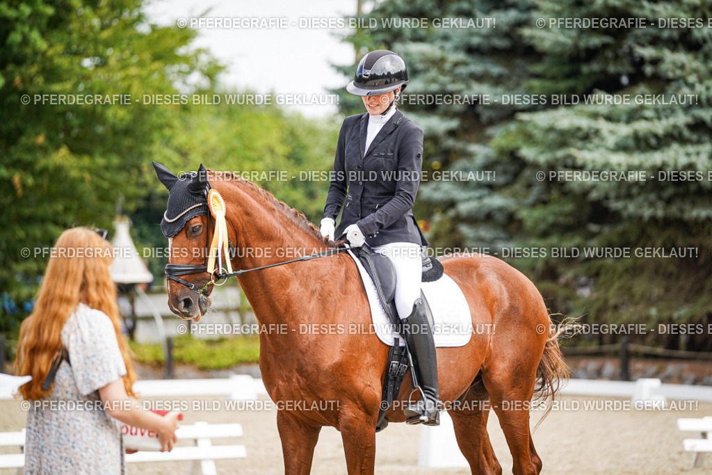 DSC02325 | Pferdegrafie