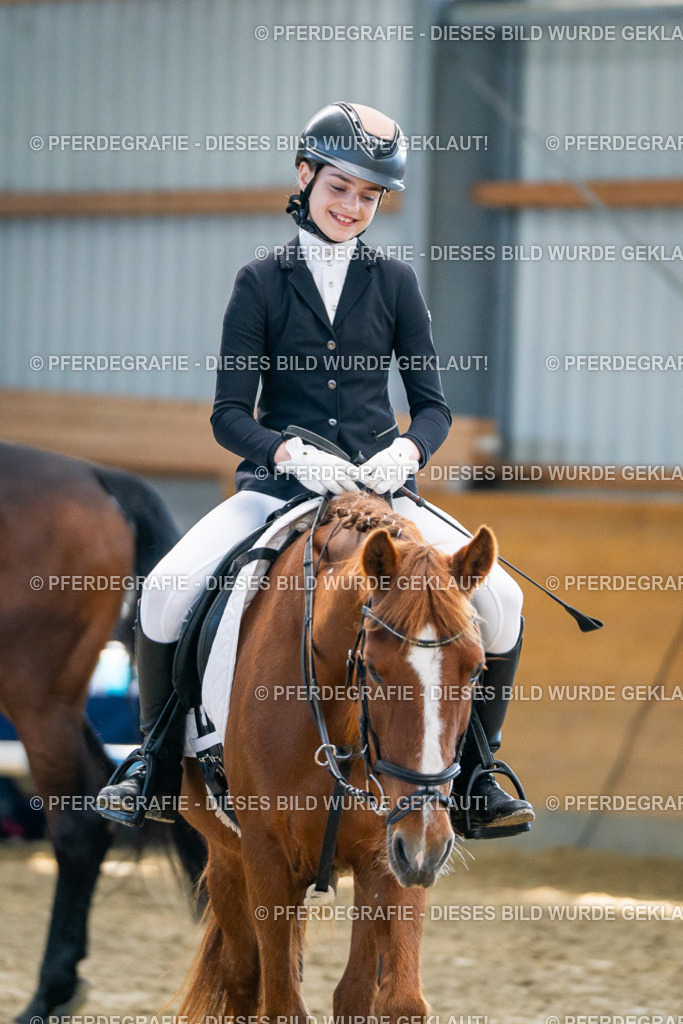 DSC01701 | Pferdegrafie