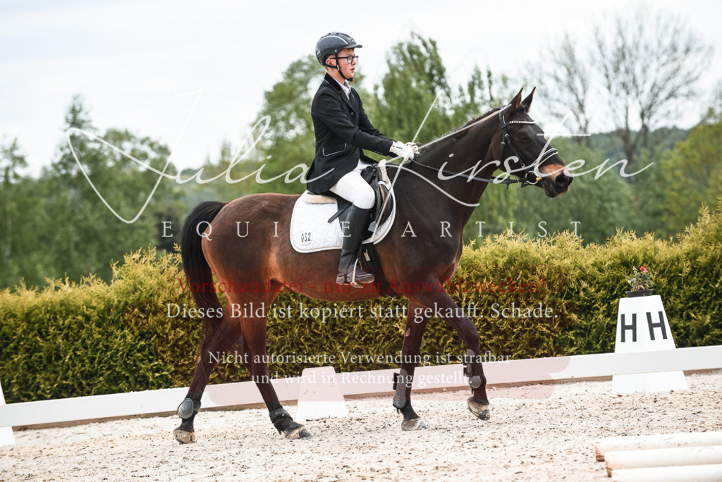 20230518_JK-Röhrsdorf-10-633 | Pferde- und Turnierfotografie in Westsachsen. Pferdeportraits, Auftragszeichnungen und intuitive Kunst.