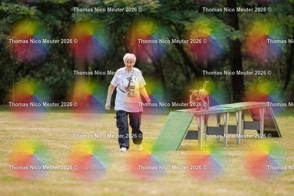 Thomas_Nico_Meuter(C)_22. August 2026_223A5175 | Bild von Thomas Nico Meuter - Realisiert mit Pictrs.com