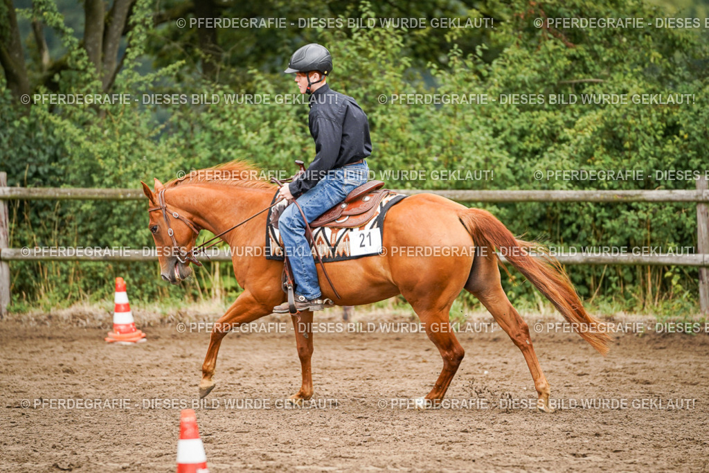 DSC03505 | Pferdegrafie