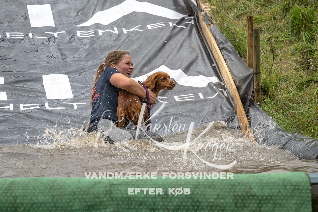 1557_ZZ91674 | kk-dogfotos