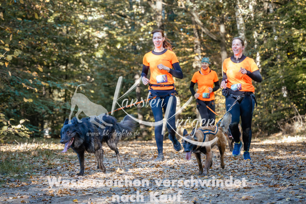 1117_ZZ91884 | kk-dogfotos