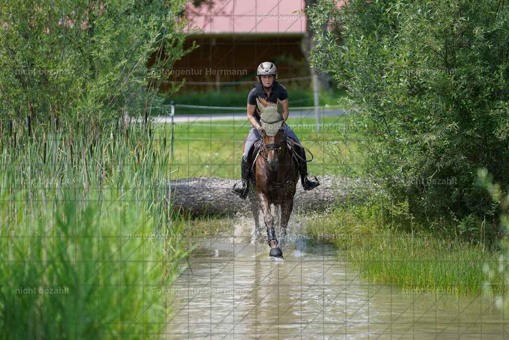 20240622-FAH07169 | Turnierfotografen Bayern, Reitsportbilder aus dem Geländekurs mit Felix Etzel auf dem Gut Waitzacker 2024