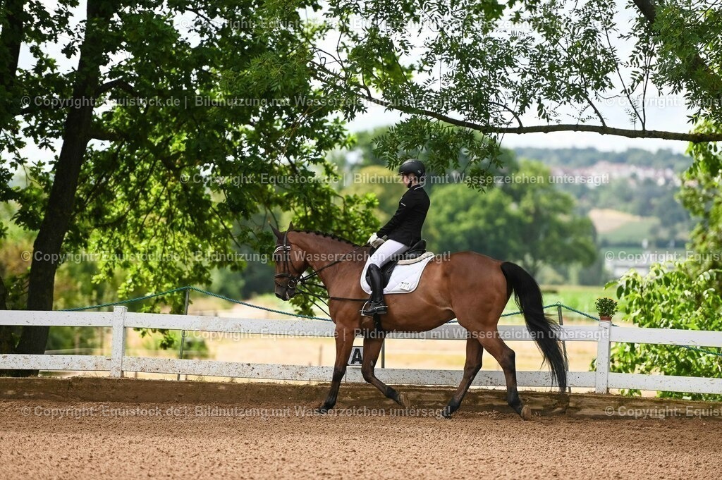 20230716_10-1_Reiter-WB Schritt - Trab - Galopp_0043 | equistock