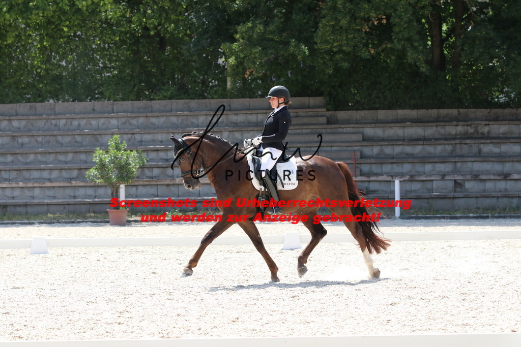 IMG_5204 | lmwpictures - Realisiert mit Pictrs.com