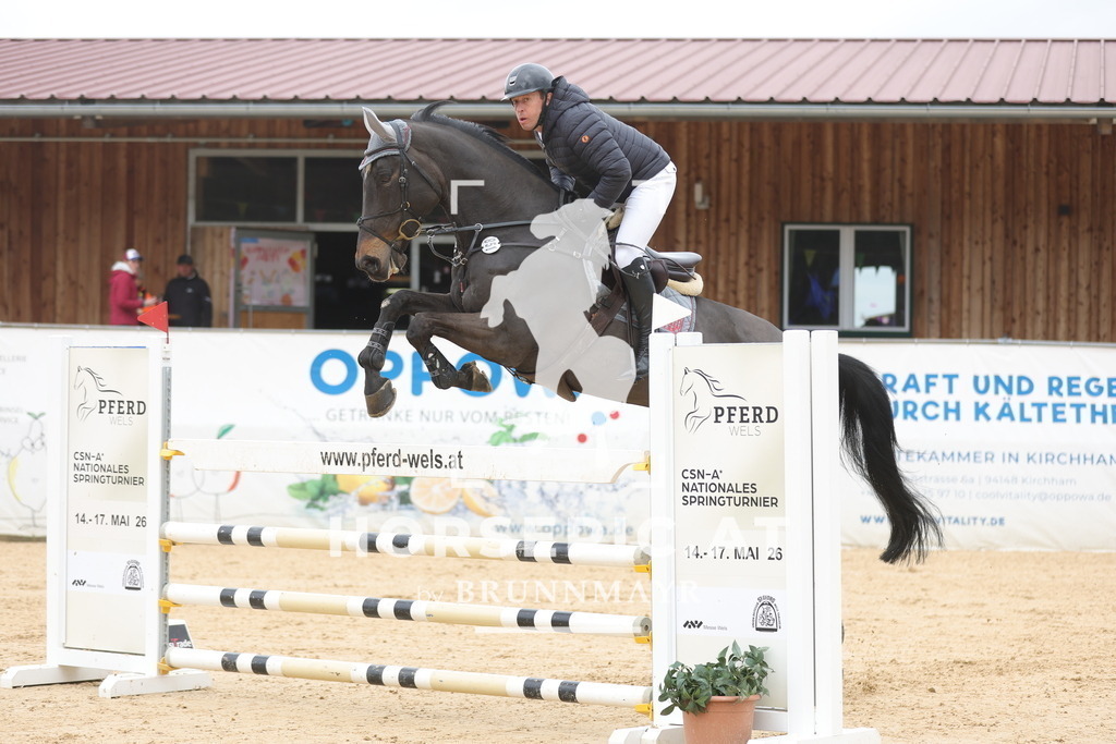 0P6A2150 | Willkommen bei Brunnmayr - Design & Fotografie – Ihrem Spezialisten für Reitturniere und Pferdeveranstaltungen in Oberösterreich, Salzburg und Bayern! Seit über 17 Jahren sind wir leidenschaftlich dabei.