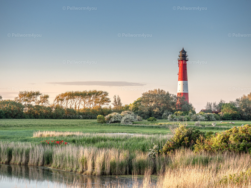 _6081114-HDR | Pellwormer Bilder und Fotos als Poster, auf Leinwand mit Keilrahmen, hinter Acrylglas, auf Alu-Dibond oder Forex-Platte und vieles mehr. Zum verschenken, für die Ferienwohnung oder für zu Hause. - Realisiert mit Pictrs.com