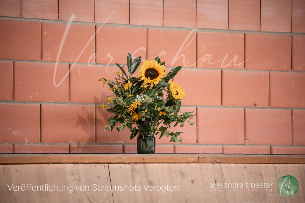 250913_Barop_11_192 | farbklaex.com