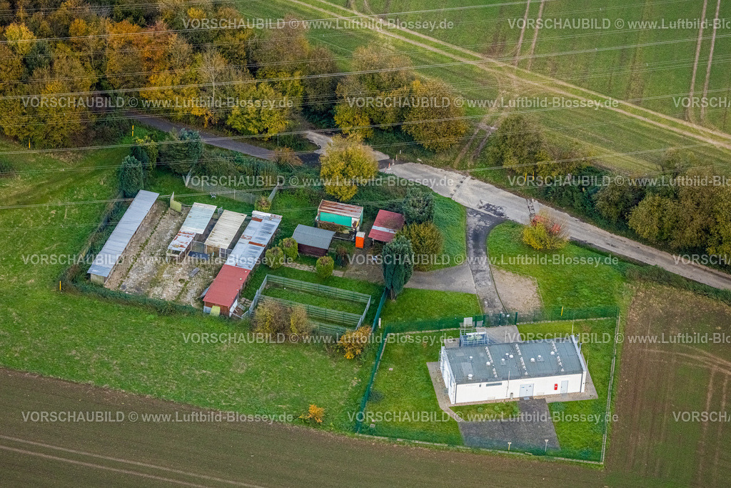 Bochum231102300 | Luftbild, Tierheim Bochum Laubenkolonie Tierschutzorganisation inmitten von herbstlichen Laubbäumen, geplantes Gelände für das Bundesligastadion Vonovia Ruhrstadion des Fußballvereins VfL Bochum 1848, Langendreer, Bochum, Ruhrgebiet, Nordrhein-Westfalen, Deutschland