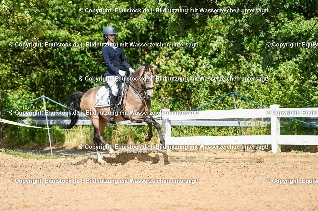 20230716_01_Dressurprüfung Kl.M_0225 | equistock