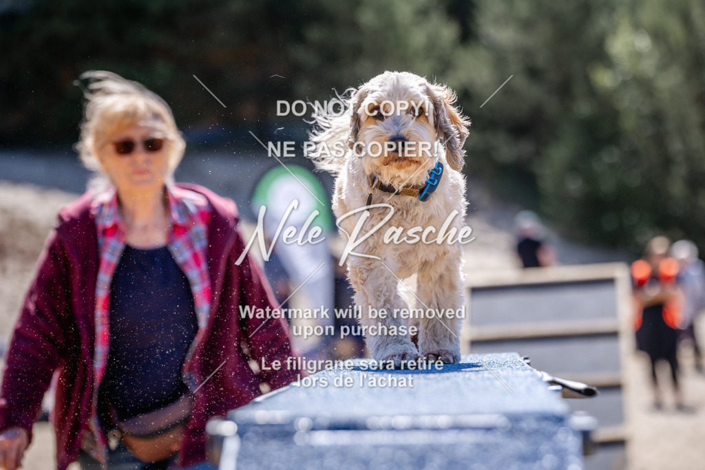 NR__1400 | nelerasche