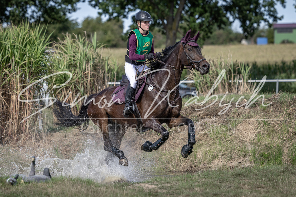 20250907-_3LI0703 | Tierfotografie Pferde, Hunde, Katzen, Haustiere.
Turnierfotografie Reitturniere, Reiten, Springreiten, Dressur in Hanau, dem Main-Kinzig-Kreis und dem Rhein-Main- Gebiet um Frankfurt