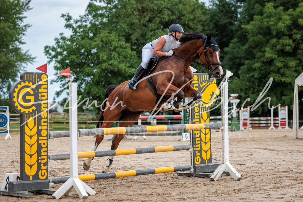 20260531-_3LI3186 | Tierfotografie Pferde, Hunde, Katzen, Haustiere.
Turnierfotografie Reitturniere, Reiten, Springreiten, Dressur in Hanau, dem Main-Kinzig-Kreis und dem Rhein-Main- Gebiet um Frankfurt