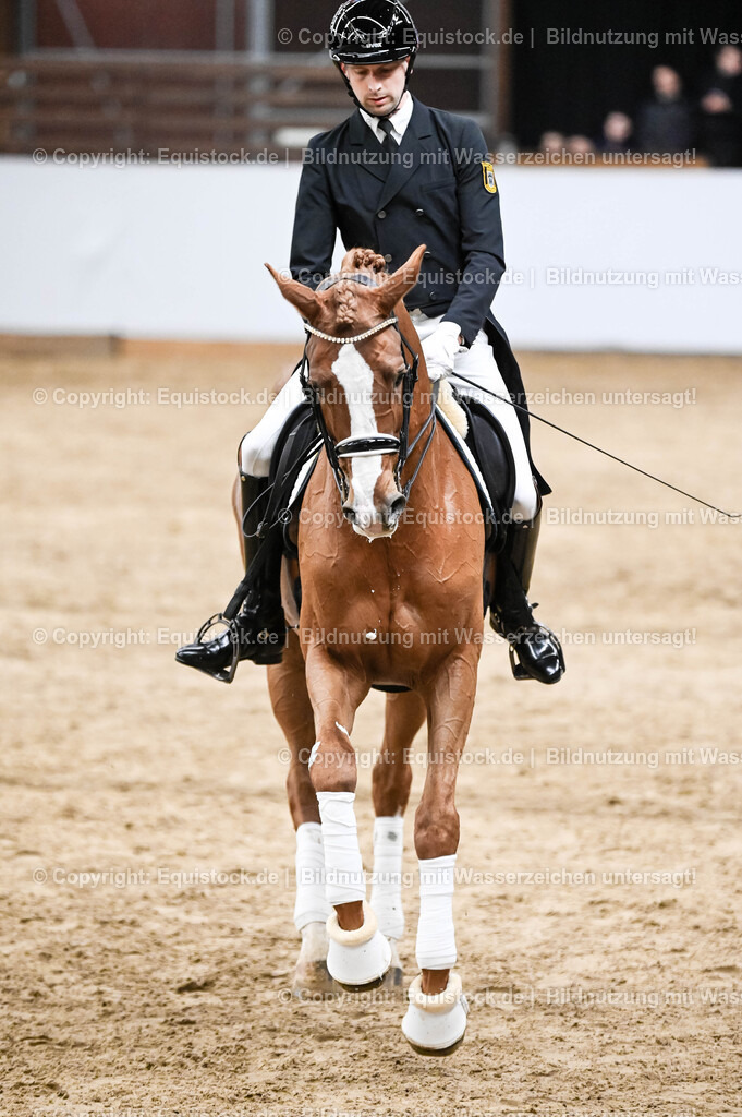 20260307_Hengstvorstellung-Marbach_0327 | equistock