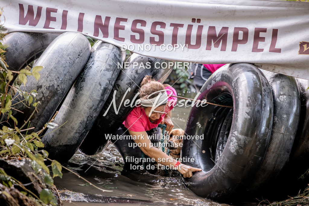 nelerasche_Hunsrück2026_Sa1400-1500_300 | nelerasche