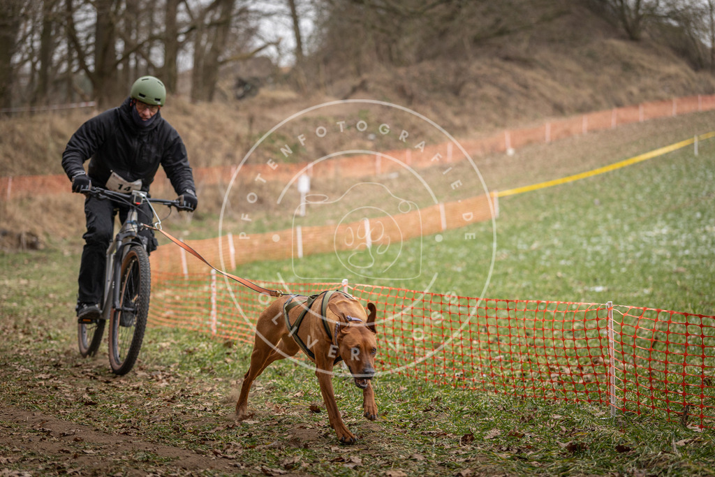 Pfotenfotografie_DV3A6829 | Hundefotografie, Tierfotograf, Pfotenfotografie, Fotoshooting Hund, Hunde Portrait, Hundesport, Hundeportraits, Heideshooting, Hunde, Sportfotograf, Hundefotograf, Turnierhundsport, THS,  - Realisiert mit Pictrs.com
