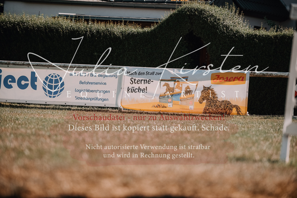 DSC_7601 | Pferde- und Turnierfotografie in Westsachsen. Pferdeportraits, Auftragszeichnungen und intuitive Kunst.