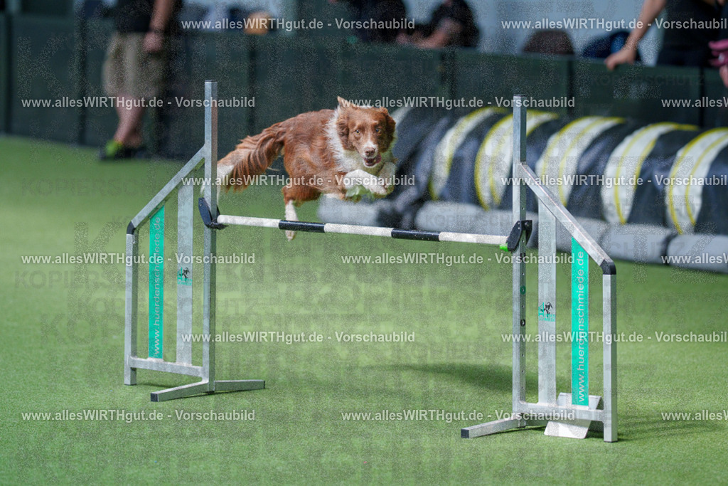@allesWIRTHgut_Tierfotografie - www.allesWIRTHgut.de - 2604261402-7R503279 | Professionelle Tierfotografie in Mönchengladbach von Daniel Wirth (allesWIRTHgut). Liebevolle & natürliche Bilder von Hunden & Katzen für unvergessliche Erinnerungen.
