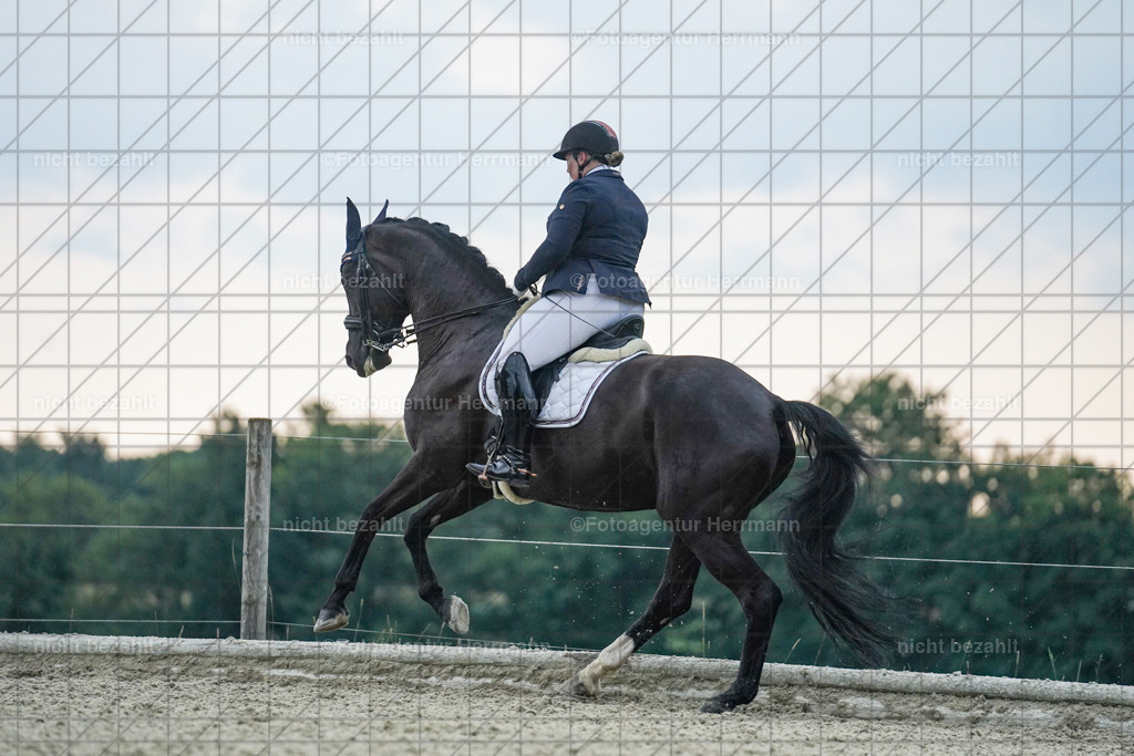 20230826-FAH06375 | Forstinning, 2023, Dressurturnier, Turniersportbilder, Turnierfotografen Bayern, Fotoagentur Herrmann, Reitsportfotografie, Turnierbilder