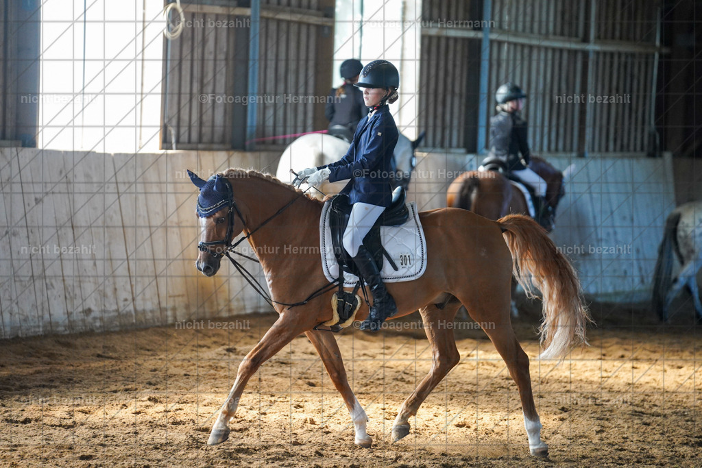 20230916-FAH08605 | Landsberg am Lech 2023, Turnierbildern, Turnierbilder Bayern, Reitsportfotograf, Pferdefotograf Bayern, Turnierfotos Landsberg, Fotoagentur Herrmann, Turnierfotografen Bayern