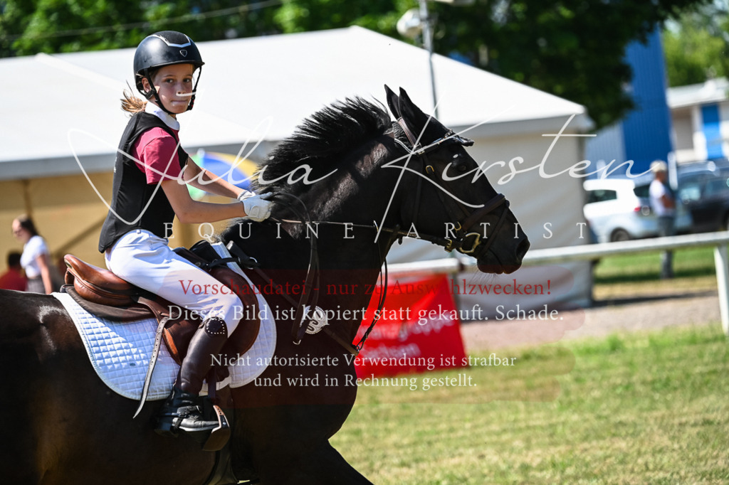 DSC_1149 | Pferde- und Turnierfotografie in Westsachsen. Pferdeportraits, Auftragszeichnungen und intuitive Kunst.