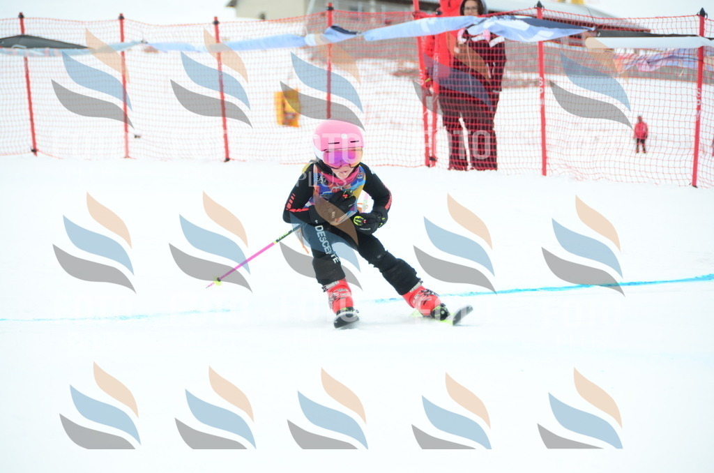 DSC_0707 | holidayphoto