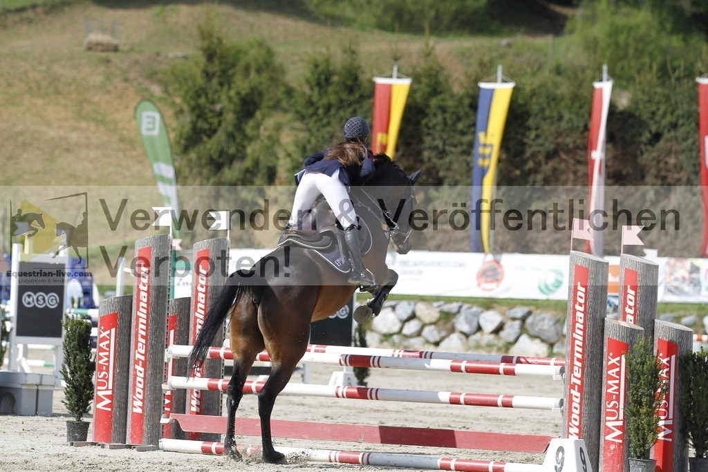 _MG_7911 | equestrian-live-com