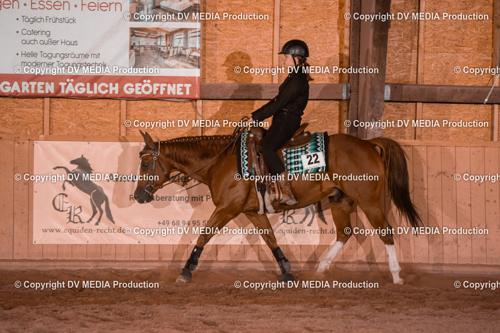 NE200788 | dv-media-shop - Realisiert mit Pictrs.com