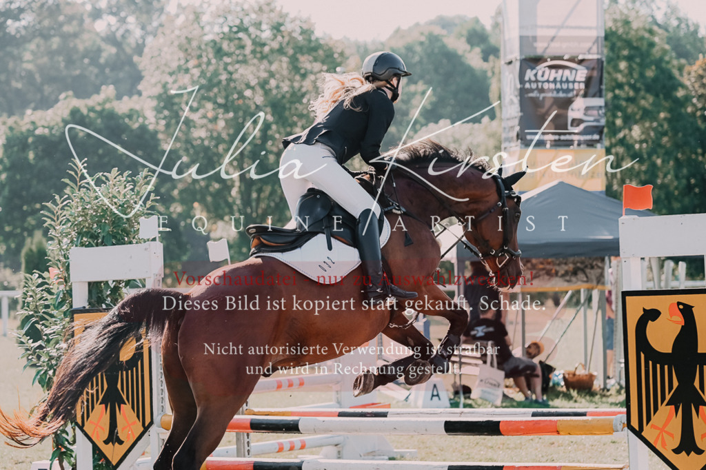 DSC_4541 | Pferde- und Turnierfotografie in Westsachsen. Pferdeportraits, Auftragszeichnungen und intuitive Kunst.