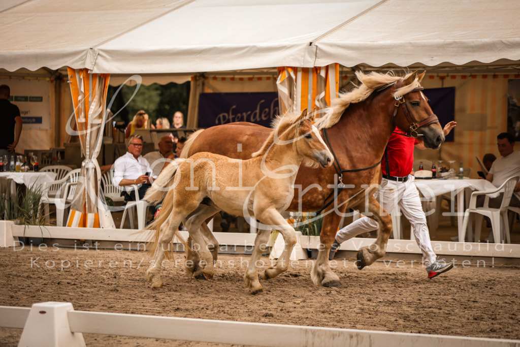 SaHF00027 | Leoni Ertmer Photography - Realisiert mit Pictrs.com