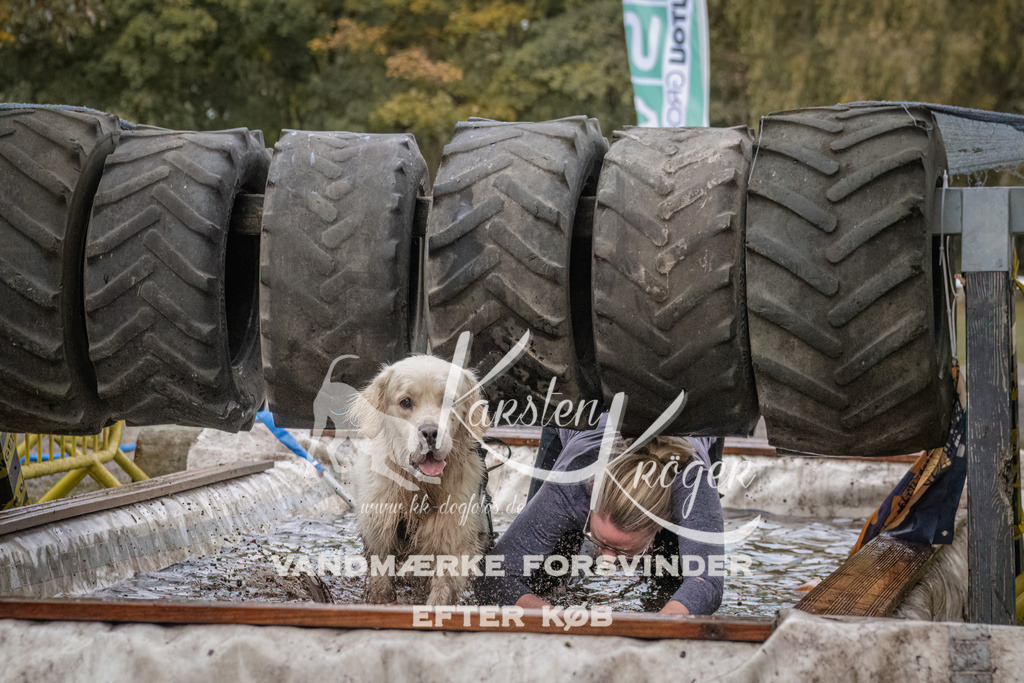 1629_ZZ93651 | kk-dogfotos