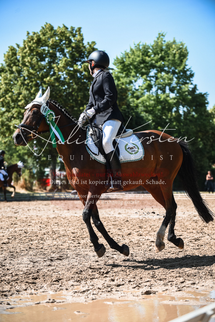 DSC_3721 | Pferde- und Turnierfotografie in Westsachsen. Pferdeportraits, Auftragszeichnungen und intuitive Kunst.