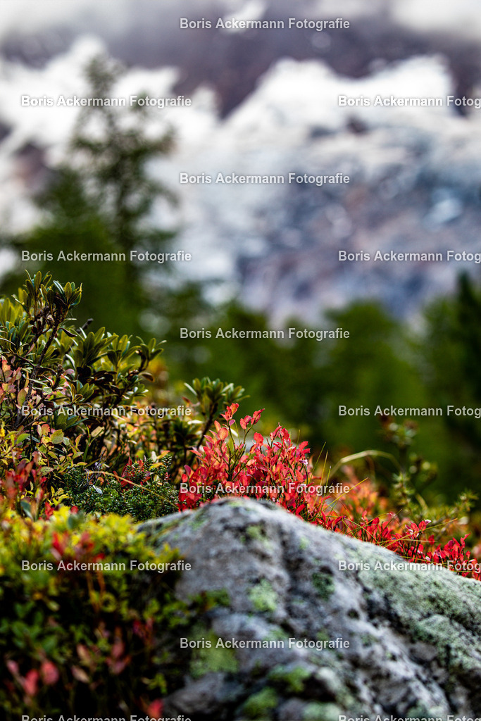 2023091510 | FineArtPrint, Hahnemühle, FeeGalerie, Fee Galerie, Fotokunst, Fotografie, Canonphotography, Bergfoto, Matterhorn, Rimpfischhorn, Allalinhorn, Saas-Fee, Wallis, Valais, Switzerland, Bergfotografie