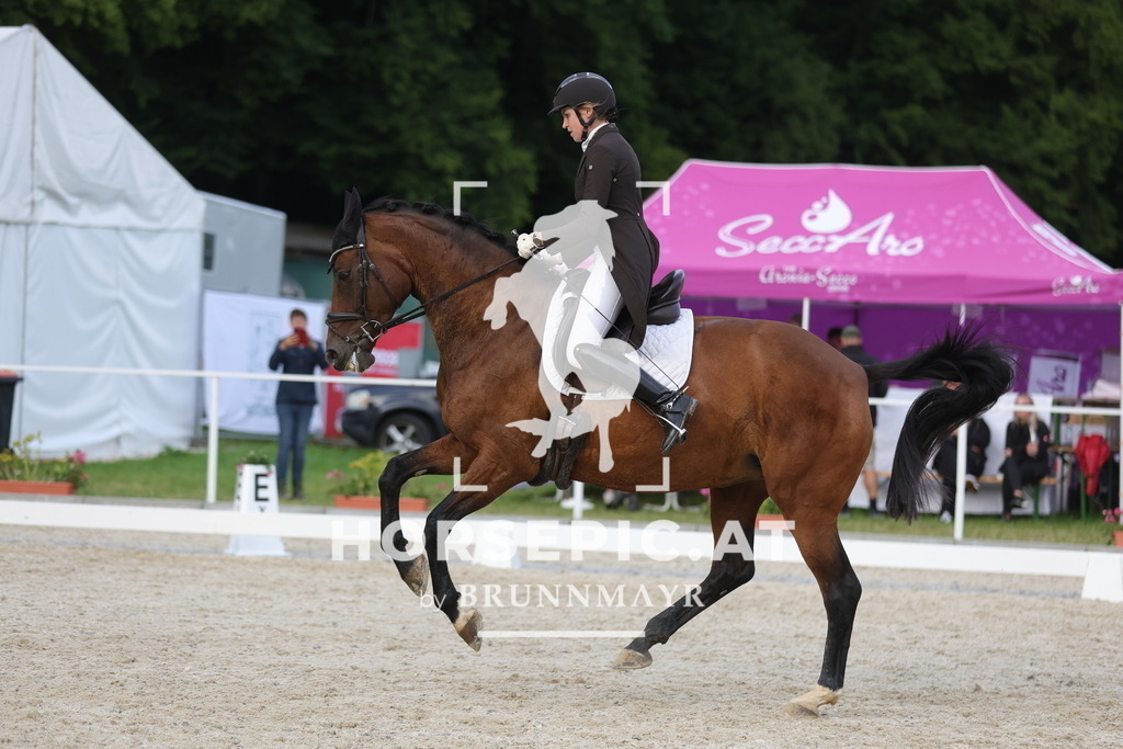 0P6A8011 | Willkommen bei Brunnmayr - Design & Fotografie – Ihrem Spezialisten für Reitturniere und Pferdeveranstaltungen in Oberösterreich, Salzburg und Bayern! Seit über 17 Jahren sind wir leidenschaftlich dabei.