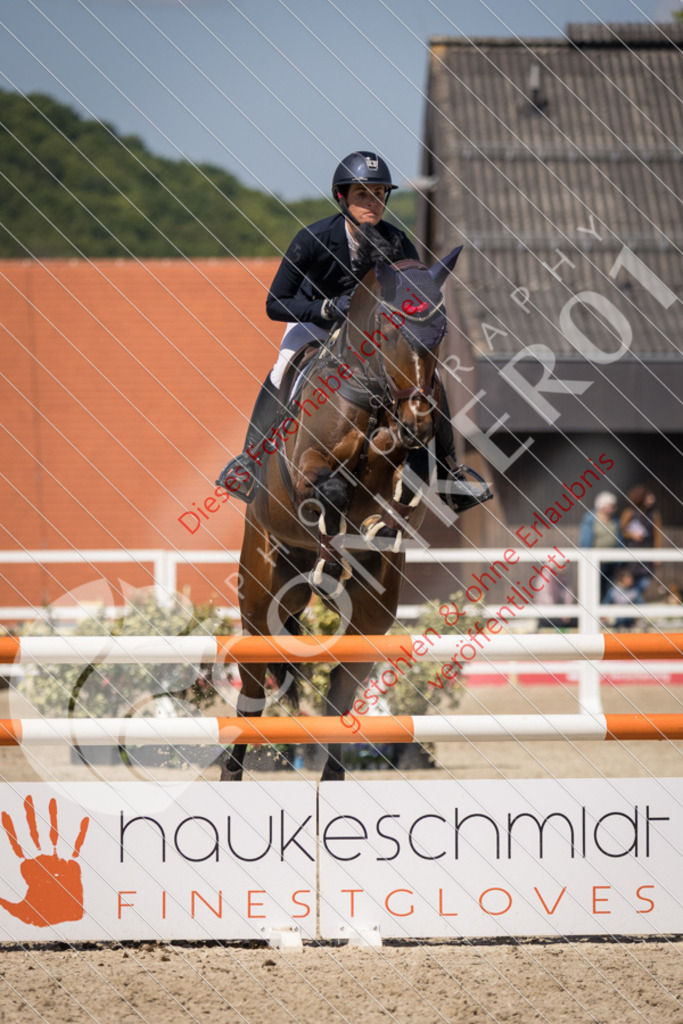 IMG_5303 | Sport-, Event- und Tierfotos in Profiqualität. Einfach auswählen, bestellen und herunterladen. Dein Moment – perfekt festgehalten.