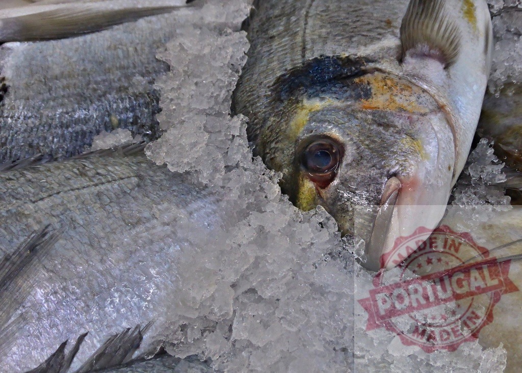 Fresh sea bream fish laying on ice at market | Freshly caught sea bream fish chilling on crushed ice, ready for sale at a fish market - Realized with Pictrs.com