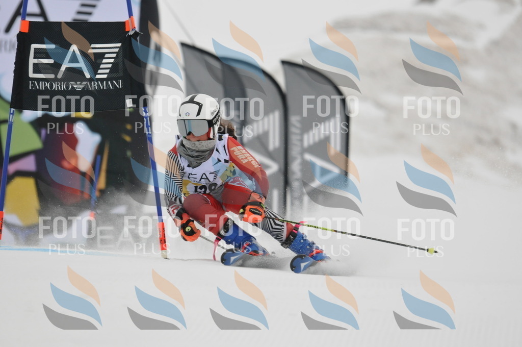 DSC_8344 | holidayphoto