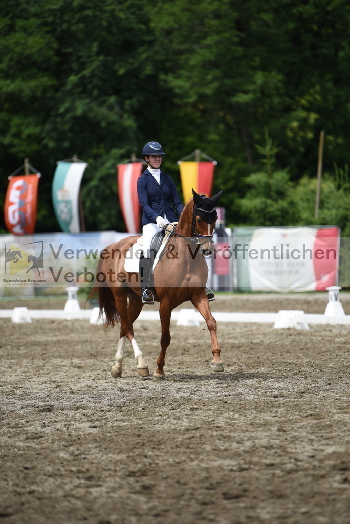 DSC_0937 | equestrian-live-com