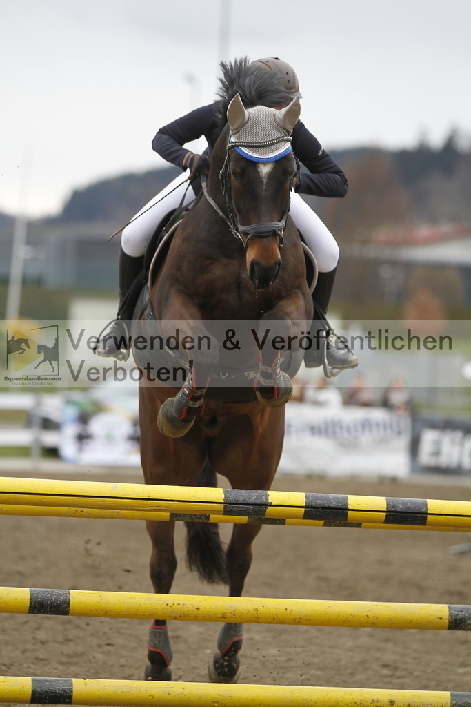 _MG_6003 | equestrian-live-com