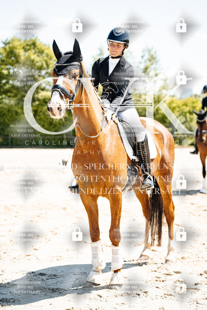 CK703529 | Turnierfotografie Pferdefotografie Trier Rheinland-Pfalz Pferdesport Reitsport Tierfotografie Sportfotografie Pferdevideo Pferdevideografie Equestrianvideography equestrianphotography  - Realisiert mit Pictrs.com