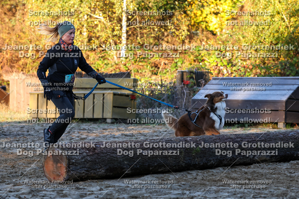 Dog Paparazzi - Strongdog 10-25-584 | Dog Paparazzi Jeanette Grottendiek Fotografie & Videografie - Realisiert mit Pictrs.com