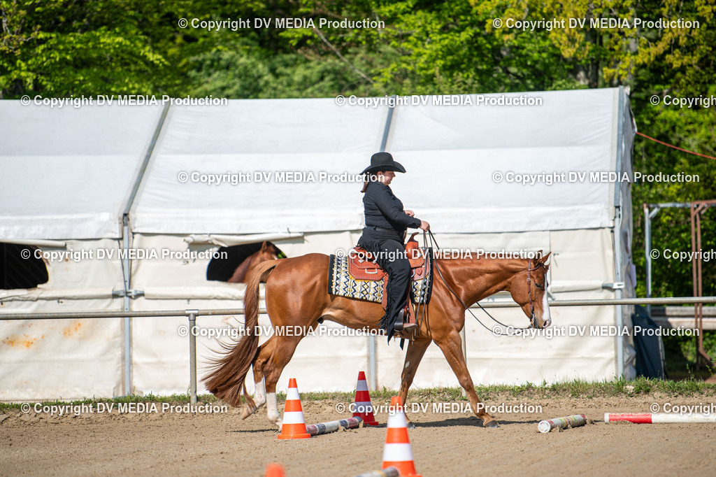 Heiligenwald Tag 2-870 | dv-media-shop - Realisiert mit Pictrs.com