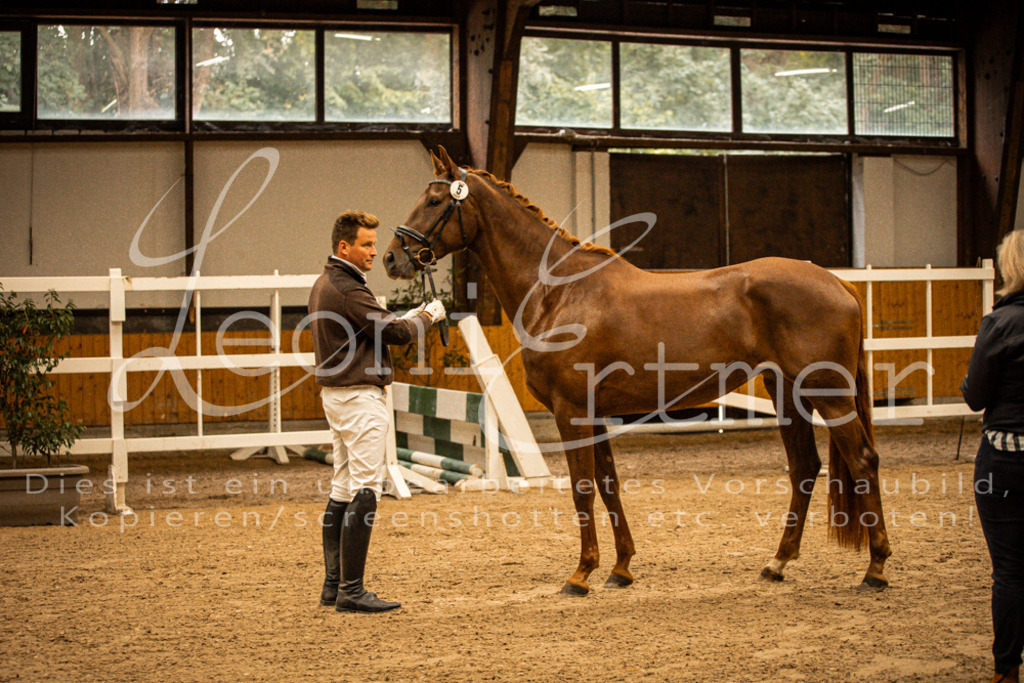 1FS_L00084 | Leoni Ertmer Photography - Realisiert mit Pictrs.com